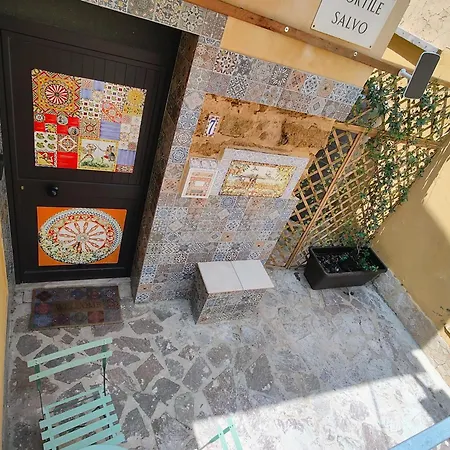 Salvo 7